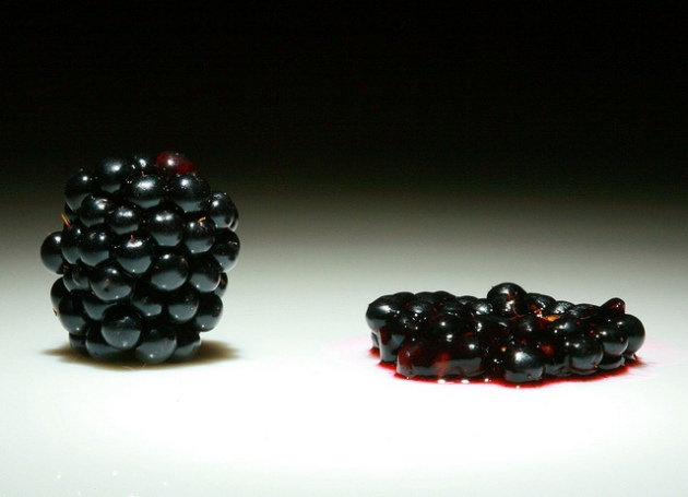 blackberry death crushed